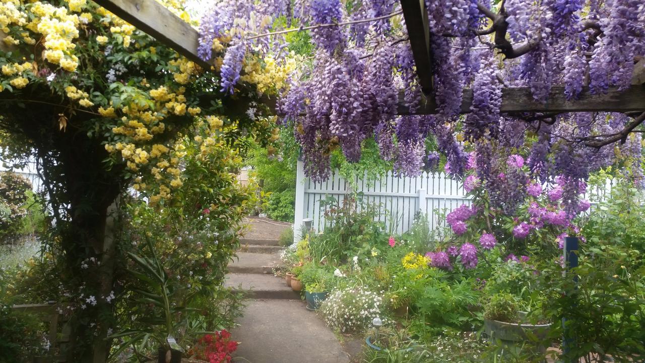 Birch Lane Bed & Breakfast Cradoc Luaran gambar