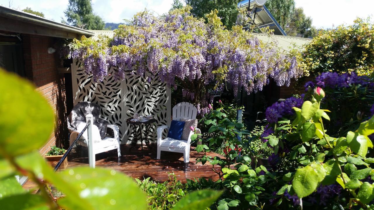 Birch Lane Bed & Breakfast Cradoc Luaran gambar